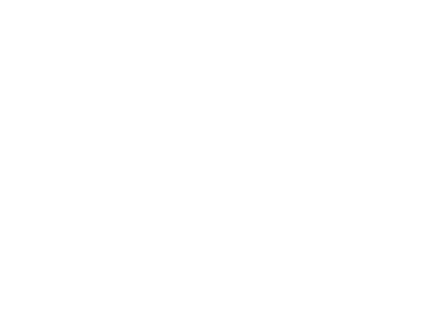 Flanders Tax shelter